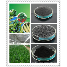 Organic Fertilizer Black Shiny Crystal 85%Min Water Soluble Potassium Humate From Leonardite